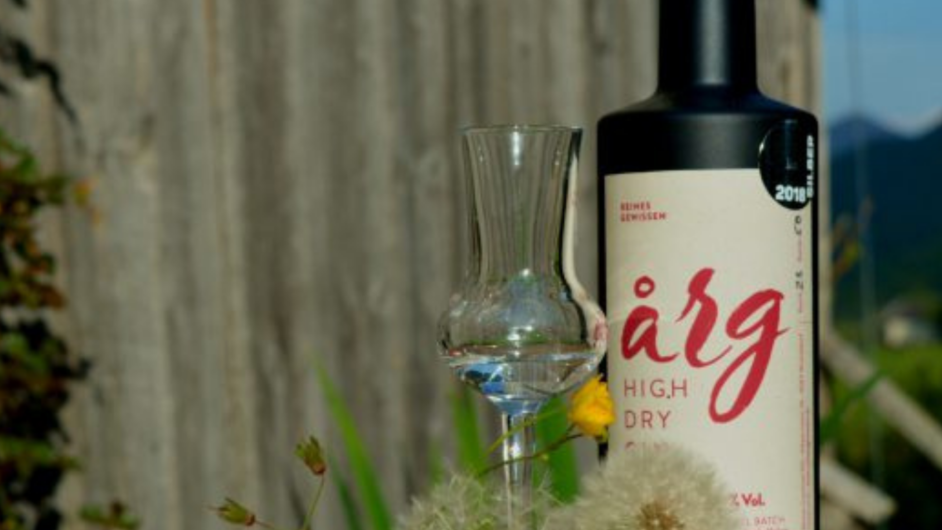 gin1