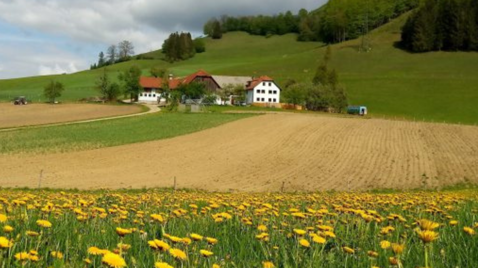 kleinort3