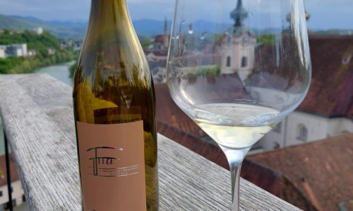 Weinvwanderung in Steyr Auf Bacchus Spuren