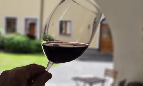 Weinverkostung auf bacchus spuren