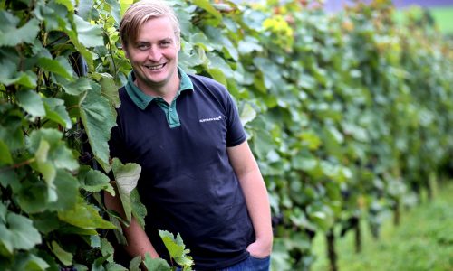 Leo Gmeiner Weinbau